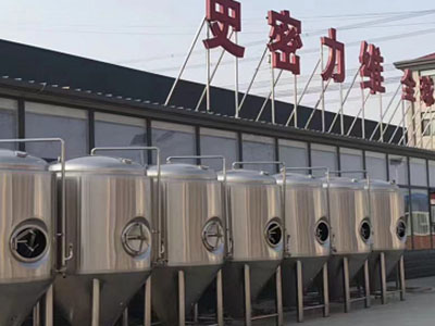 邢台精酿啤酒设备厂—市场规模与跨界新需求